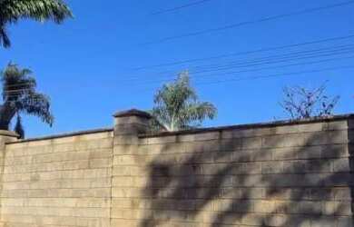 Imagem 3: Chácara com 2 dormitórios à venda, 3021 m² - Chácara Santa Luzia - Trindade/GO