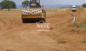 Imagem 4: Fazenda 33 alqueires (158,4 hectares) Parauna - Go