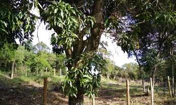 Imagem 6: Lote / terreno com 770 m² à venda no Lameirão - Guarapari ES