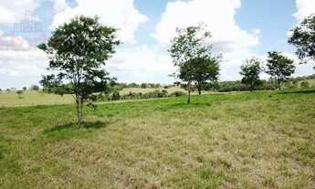 Imagem 5: Sítio à venda, 20.000m² por R$ 680.000 - Cruzeiro dos Peixotos - Uberlândia/MG