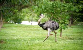Imagem 3: Lote à venda no Residencial Aldeia do Vale - Goiânia, GO
