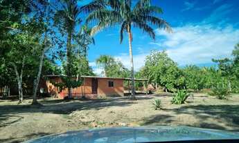 Imagem 4: Vendo um sítio no km 02 de Novo Airao-Am