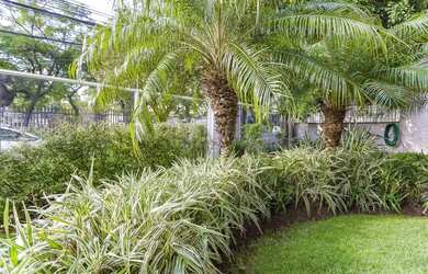 Imagem 4: Apartamento 3D no bairro Auxiliadora