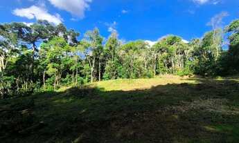 Imagem 2: Chácara à venda, 12000 m² por R$ 250.000 - Areia Branca dos Assis - Mandirituba/Paraná