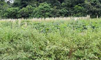 Imagem 3: Vendo 2 Terrenos QUITADOS no Residendial Amazonas 2 em Iranduba