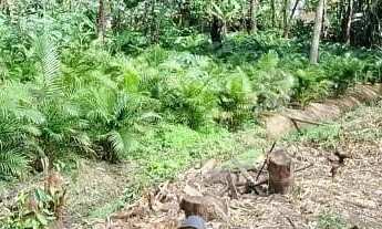 Imagem: Terreno para Venda em Rio de Janeiro, Ilha