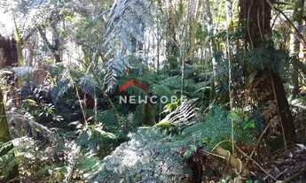 Imagem 2: Lote em Rua Sábias - Colinas - São Francisco de Paula/RS