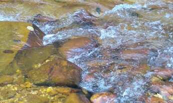 Imagem 3: Sítio a venda em Senador Mourão MG