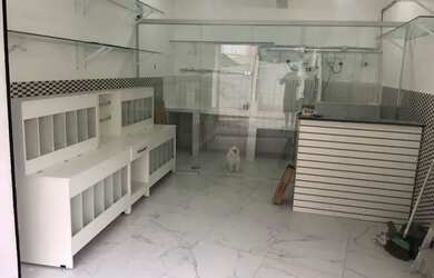 Imagem 3: Aluga se espaço para pet shop
