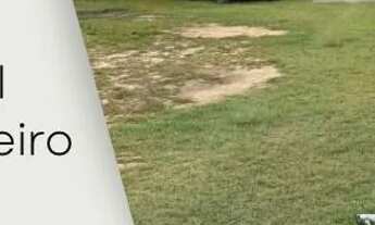 Imagem 3: Vendo Chácara Estrada do Janauari km 08