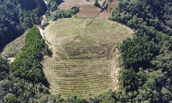 Imagem 6: Chácara Boa Vista Campo Largo 52.500m²,lavoura, cachoeira, córrego