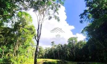 Imagem 3: Chácara à venda, 12000 m² por R$ 250.000 - Areia Branca dos Assis - Mandirituba/Paraná