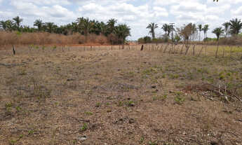Imagem: Fazenda em União-PI