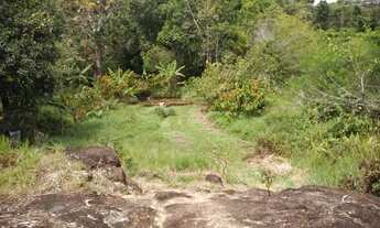 Imagem 6: Faz.25 hectares ilhéus