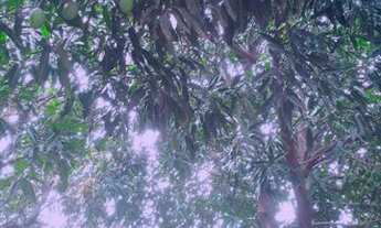 Imagem 4: Casa aluguel Casa com 3 dormitórios