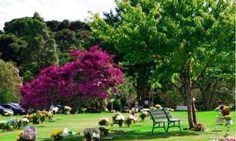 Imagem 2: Terreno à venda - Jazigo no Cemitério Parque Iguaçu com lápide e gavetas pagas - Curitiba