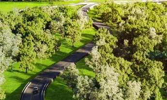 Imagem 3: Vinhas flamboyant*