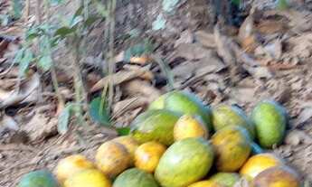 Imagem 7: Água De Rio!!!Saída Pirapora!!Área total 3.5 Hectares