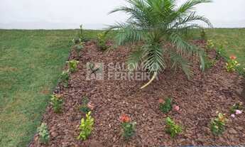 Imagem 5: FRANCA - Casa Padrão - Quinta D` Oeste