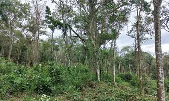 Imagem 4: 21 Terrenos 1000m² em Ibiúna-SP - Campo Verde DPBNVD