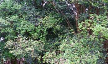 Imagem 5: Imob03 - Chácara 1469 m² - venda - 2 dormitórios - Chácaras São Judas Tadeu - Suzano/SP