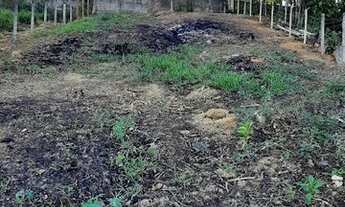 Imagem: Terreno excelente, com 525 metros, ótima