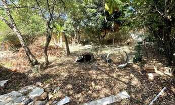 Imagem 2: Lote 775M? - Bairro Ceu Azul