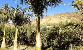 Imagem 5: Sítio à venda, 822000 m² por R$ 1.500.000,00 - Serra do Capim - Teresópolis/RJ