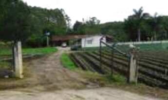 Imagem 4: Área de 22.569 m² - Sertãozinho - Biritiba Mirim - SP