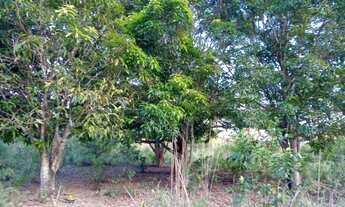 Imagem 5: Água De Rio!!!Saída Pirapora!!Área total 3.5 Hectares