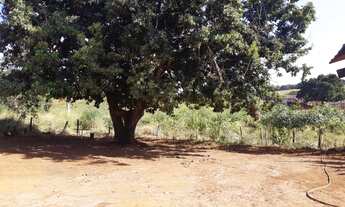 Imagem 7: Sítio em Ibiraci-mg