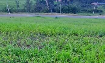 Imagem 3: Terreno Residencial à venda, Vila Oliveira, Mogi das Cruzes