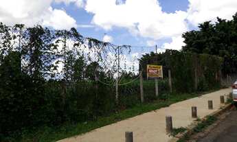 Imagem 6: Campinas - Terreno Padrão - Parque das Universidades