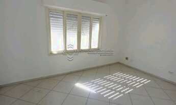 Imagem 1: SANTOS - Padrão - Gonzaga