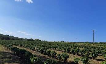 Imagem 4: Sítio em Ibiraci-mg