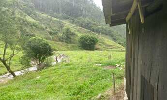 Imagem 3: Sítio em Garcia - Angelina - SC com área de 17 hectares
