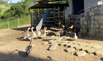 Imagem 5: Sítio de porteira fechada !! Oportunidade!!!!!