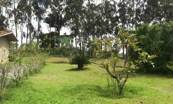 Imagem 3: Fazenda á venda em Chã Grande