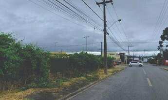 Imagem 6: Ótimo Terreno à Venda com 640 m²- Jardim Menino Deus - Quatro Barras/PR