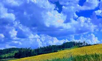 Imagem 2: Lote de 500m2 a venda em Atibaia