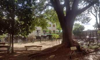 Imagem 4: Apartamento com 3 dormitórios para alugar, 70 m² por R$ 1.100,00/mês - Jardim Palma Travas