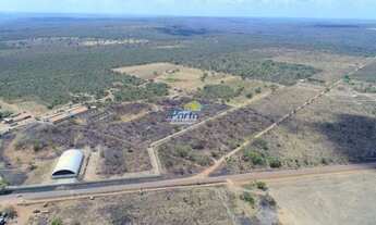 Imagem 5: Fazenda para Venda Rural , Uruçuí
