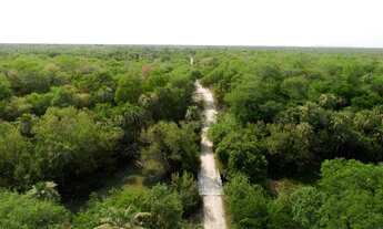 Imagem 3: Fazenda 500ha no Paraguai