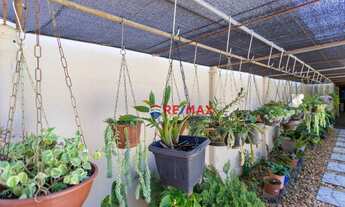 Imagem 6: Chácara encantadora no Portal dos Ipês