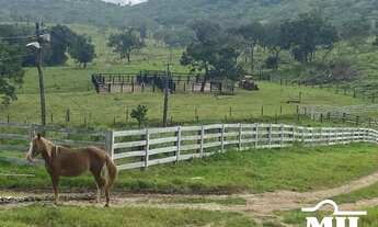 Imagem: Fazenda de 205 Alqueires (992 Há) em Hidrolina-GO