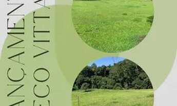 Imagem 3: Ml - Vendo Terreno para você de Guarulhos