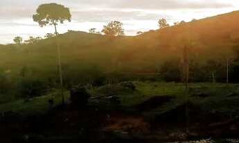 Imagem 4: Fazenda com 68 hectares, há 1km da BR 030 , composta por cacau, pasto, mata e muita água