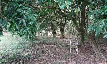 Imagem 7: Terreno para Venda - 0m², 0 dormitórios, Lami