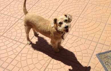 Imagem 7: Aluguel Temporada, A Partir de R$150/dia, Poucas Acomodações - Consulte disponibilidade