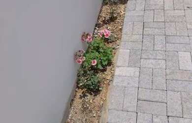 Imagem 3: Casa à venda, 73 m² por R$ 630.000,00 - Nova Arujá - Arujá/SP